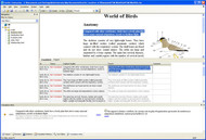 Excitic Website Localization Tool screenshot